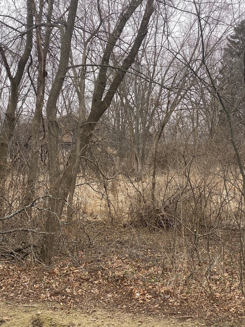 a view of outdoor space