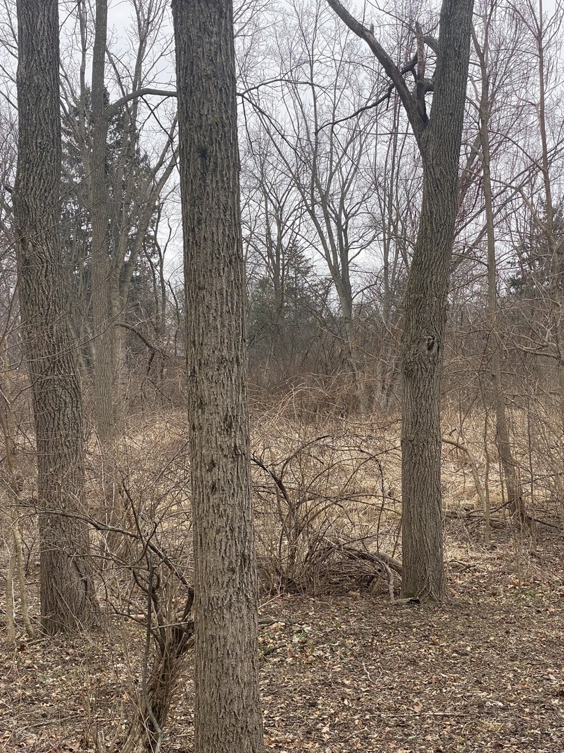 21177 North Valley Road Kildeer, IL 60047 - Photo 2 of 2 a backyard of a house