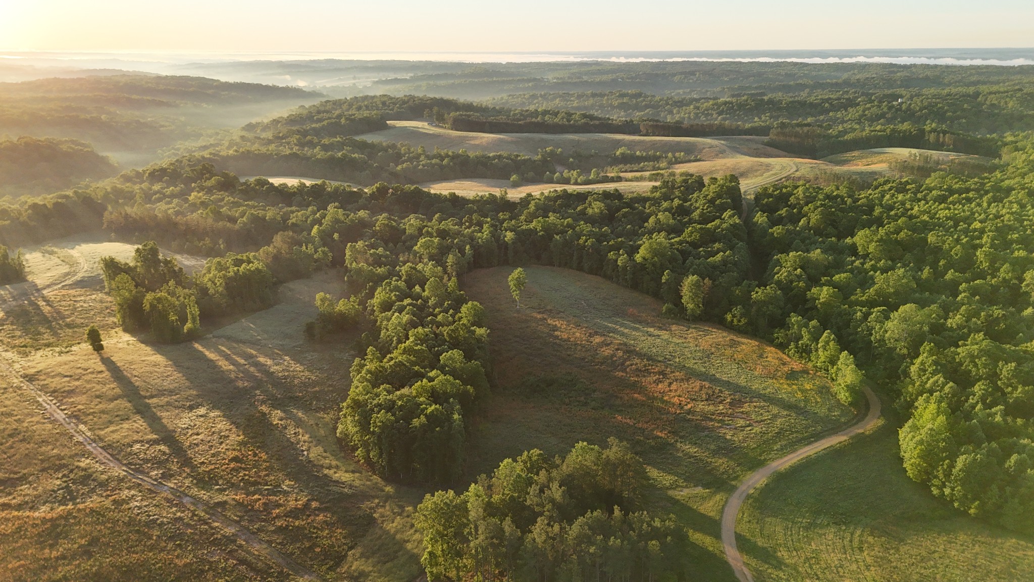 0 Seven 7 Mile Ridge Road Indian Mound, TN 37079 - Photo 5 of 27