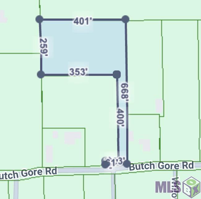 45162 Butch Gore Road St. Amant, LA 70774 - Photo 11 of 11