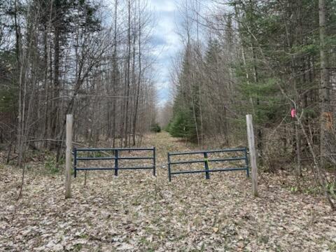 0 West Tee Lake Road Germfask, MI 49836 - Photo 3 of 29 Gallery Image 3
