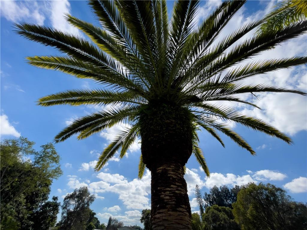 17100 Griffin Road Southwest Ranches, FL 33331 - Photo 46 of 46 Photo 46