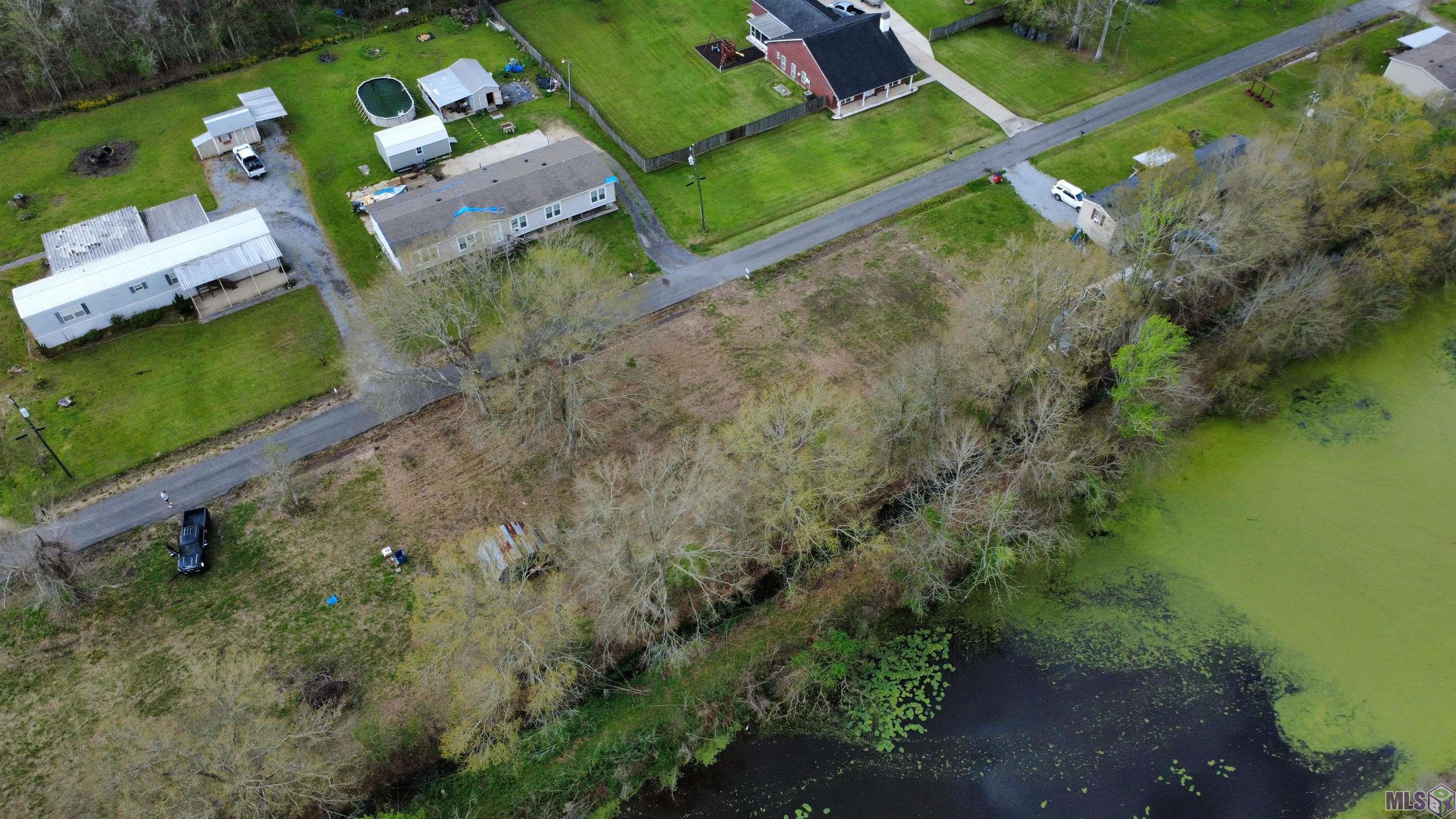 31-acres Rod Anderson Road St. Amant, LA 70774 - Photo 3 of 11