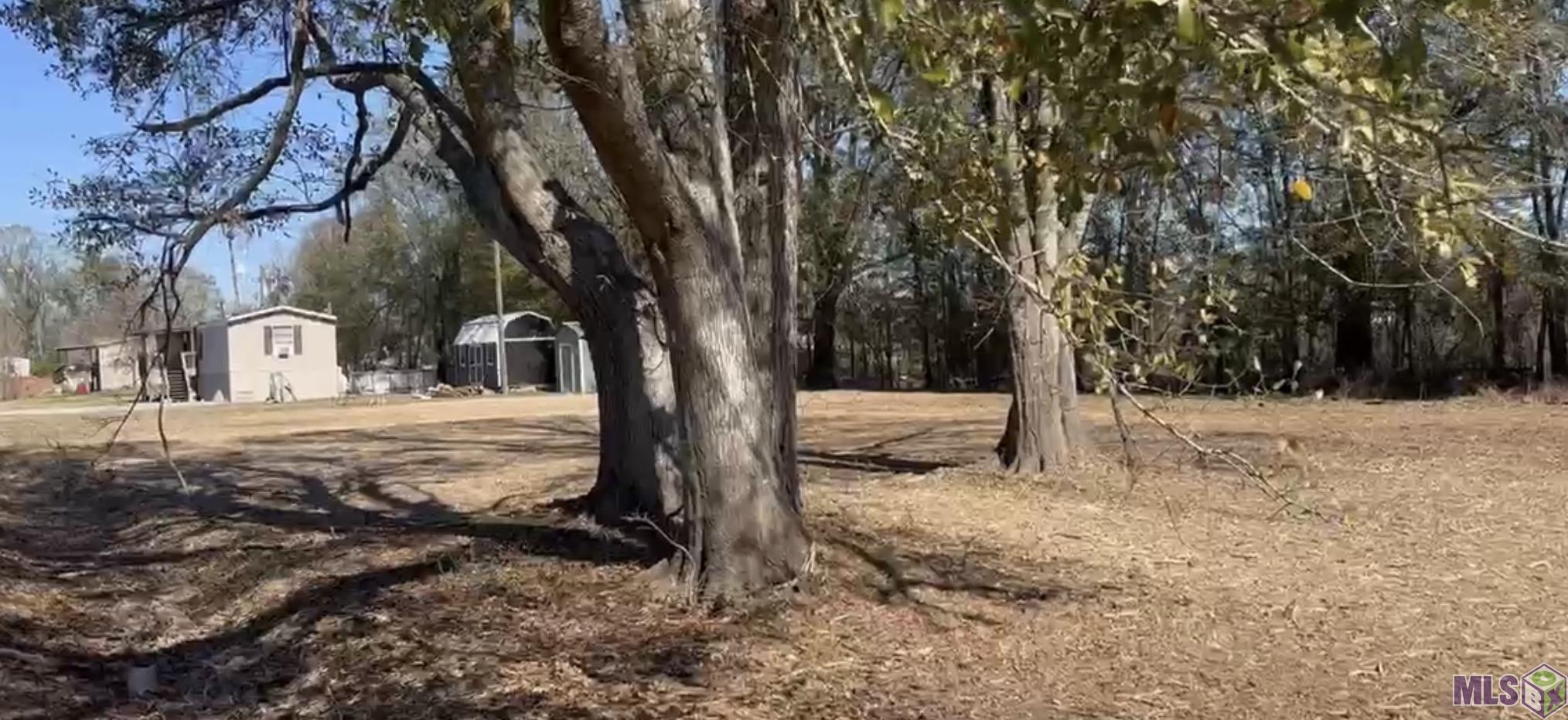 31-acres Rod Anderson Road St. Amant, LA 70774 - Photo 6 of 11