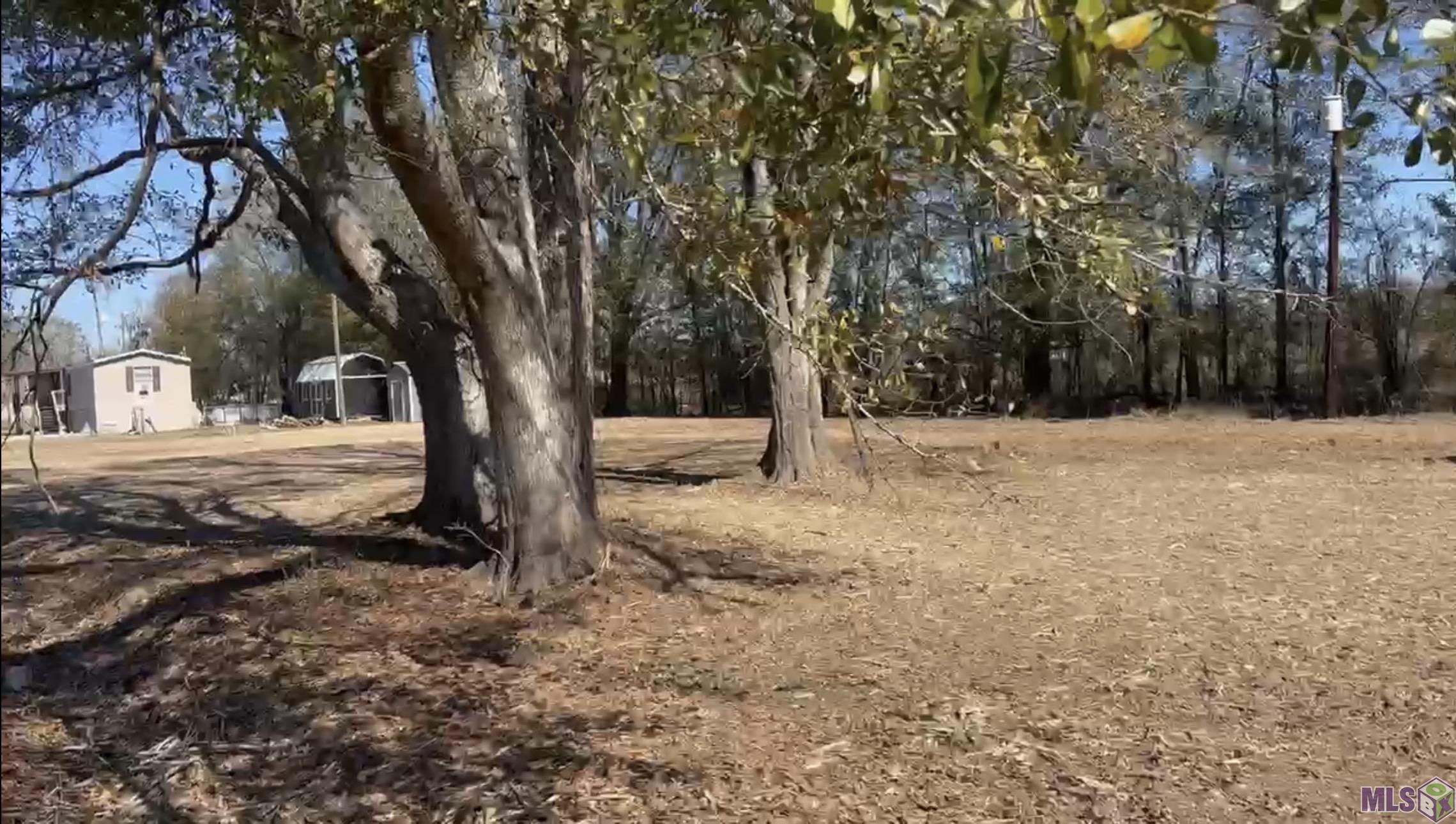 31-acres Rod Anderson Road St. Amant, LA 70774 - Photo 7 of 11