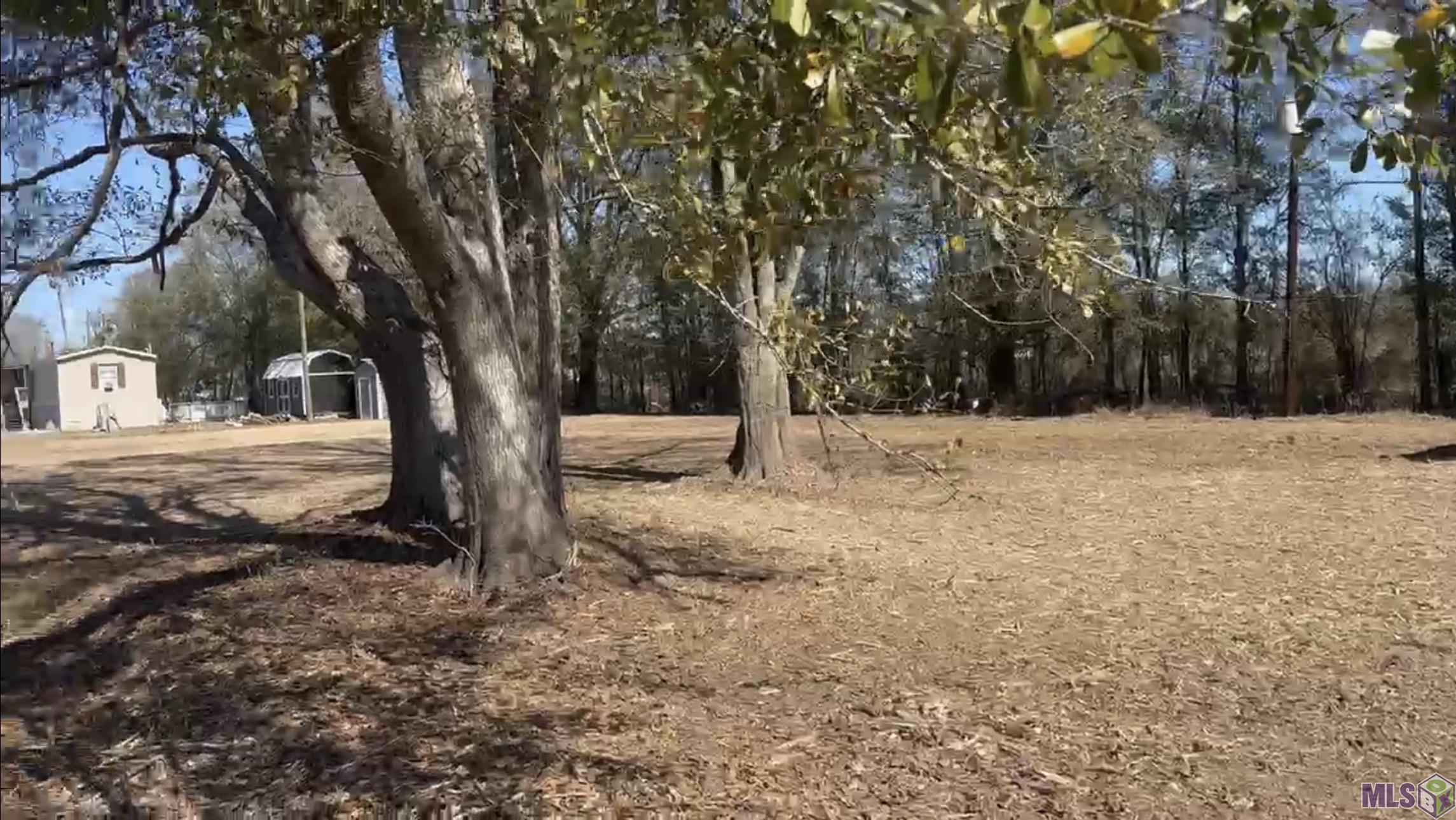 31-acres Rod Anderson Road St. Amant, LA 70774 - Photo 8 of 11