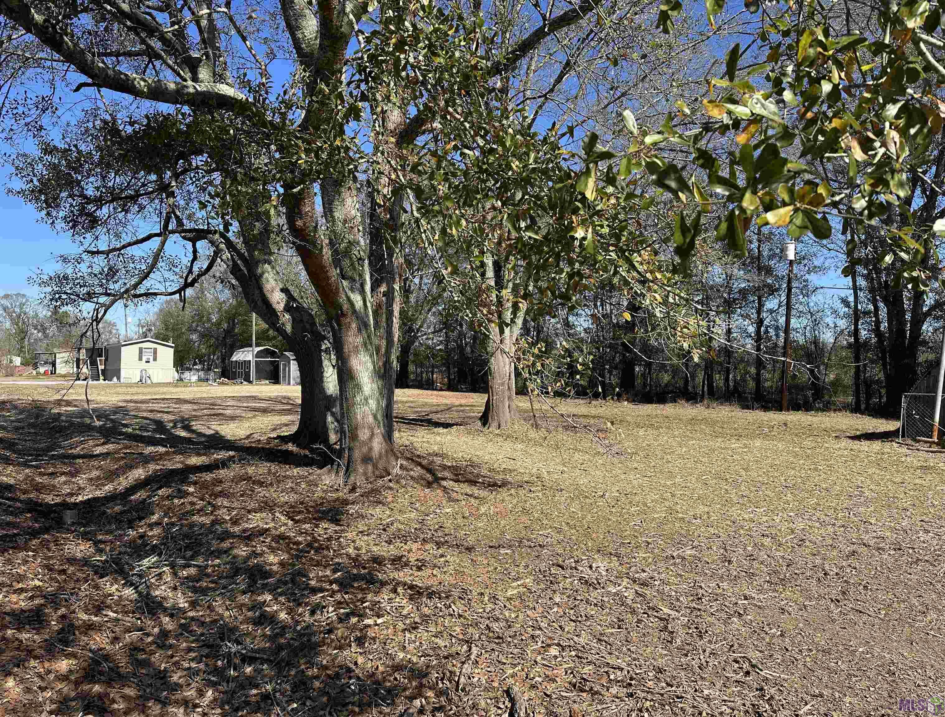 31-acres Rod Anderson Road St. Amant, LA 70774 - Photo 9 of 11