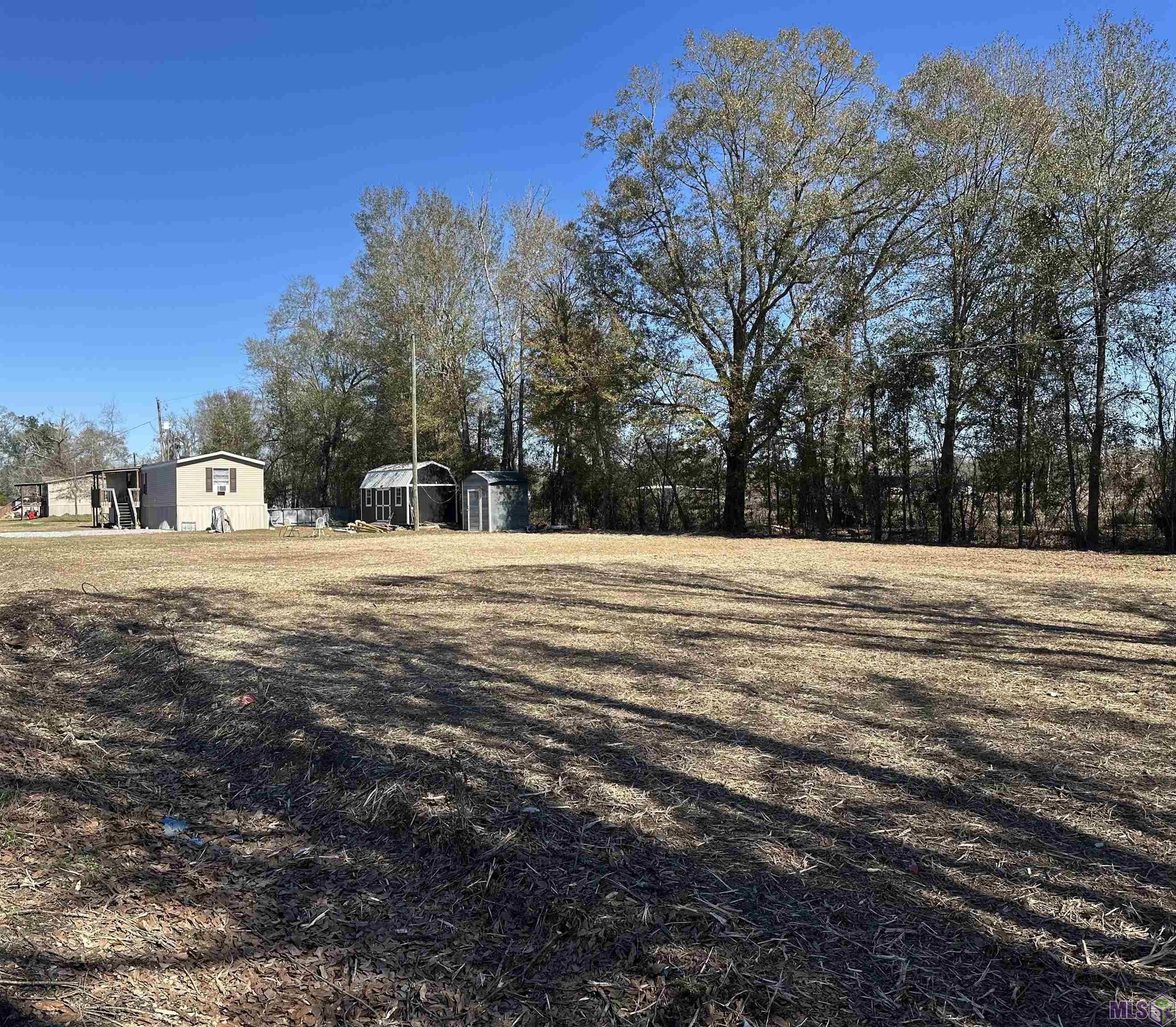 31-acres Rod Anderson Road St. Amant, LA 70774 - Photo 10 of 11