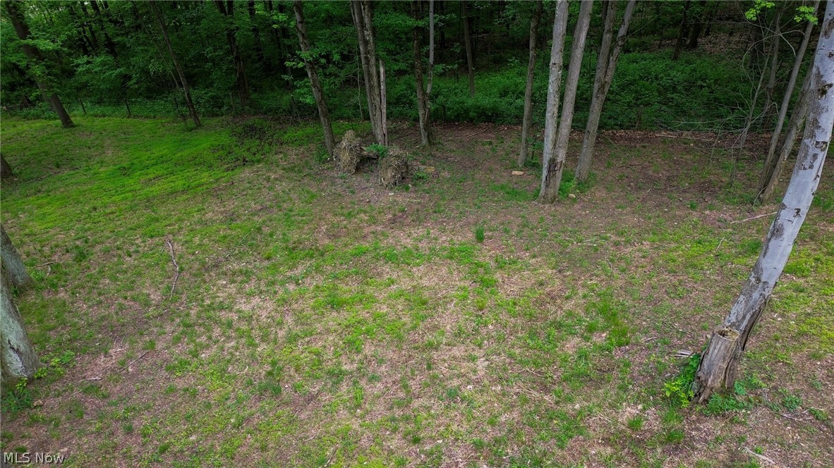 5309 Cherry Run Road Northwest Strasburg, OH 44680 - Photo 18 of 49