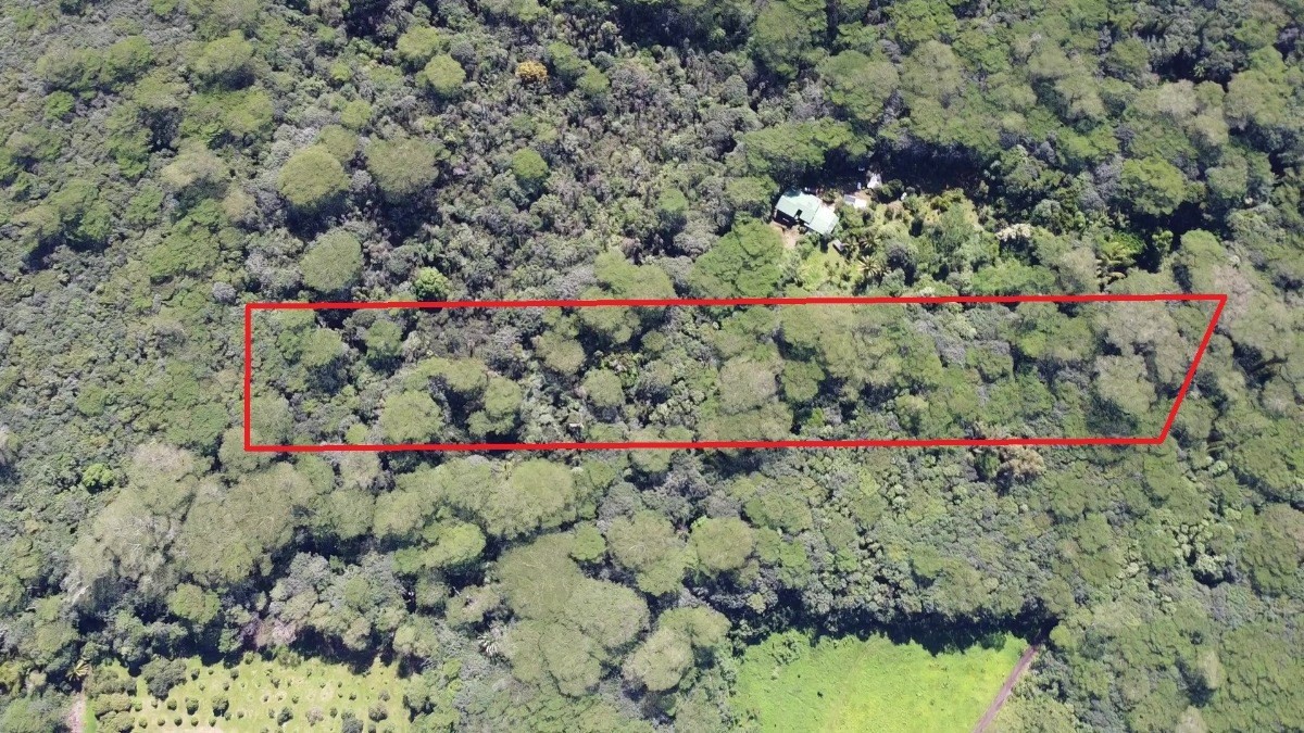 17 Noni Farms Road Pahoa, HI 96778 - Photo 3 of 5 Gallery Image 3