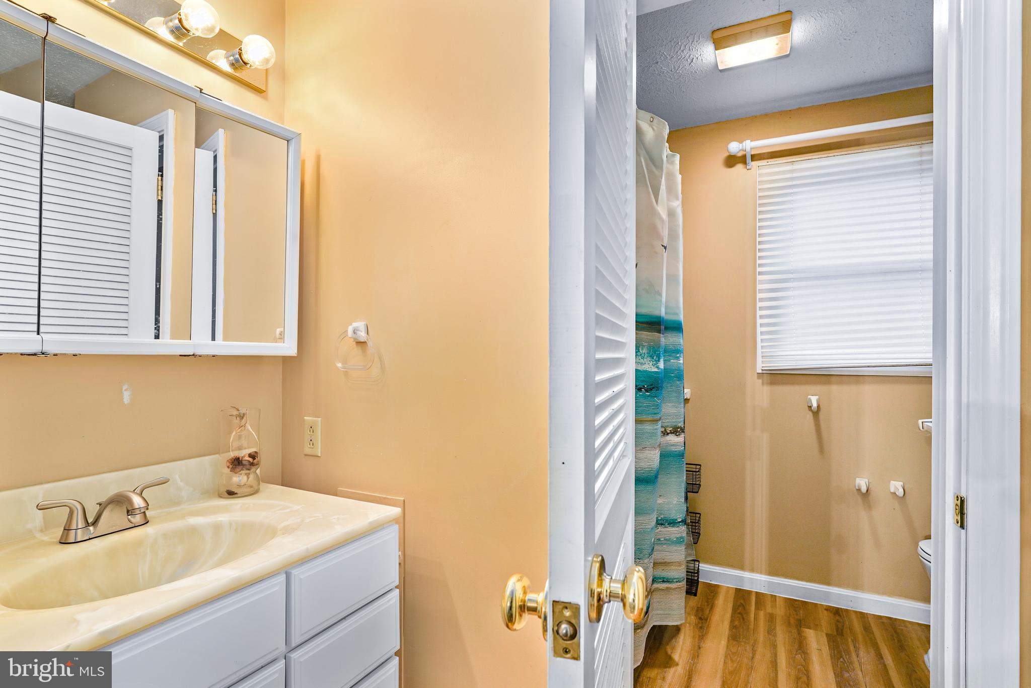 177 Pearce Creek Drive Earleville, MD 21919 - Photo 29 of 37 a bathroom with a sink and a mirror