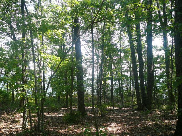 1 Ravens Den Road Sewanee, TN 37375 - Photo 3 of 12 a view of forest
