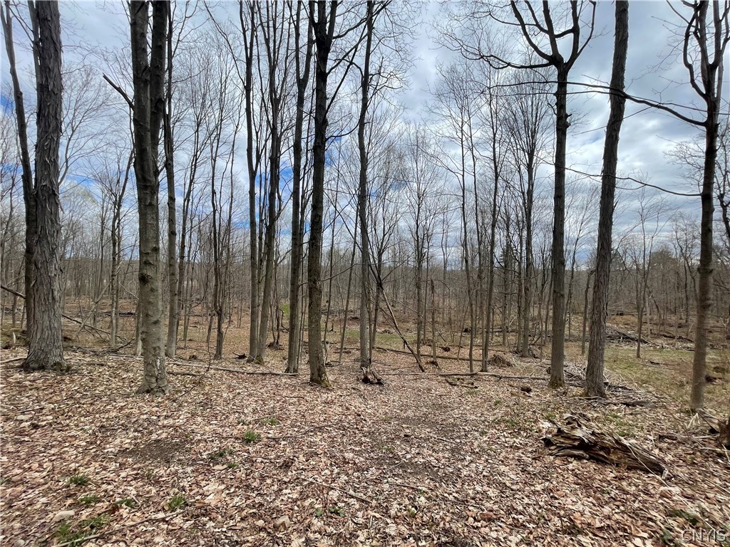 3442 County Rte 57 Volney, NY 13126 - Photo 23 of 24