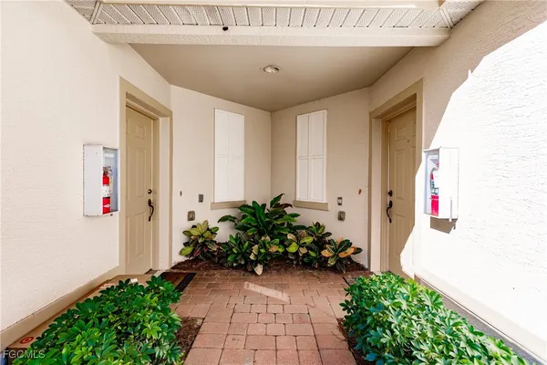 a potted plant sitting in front of a door