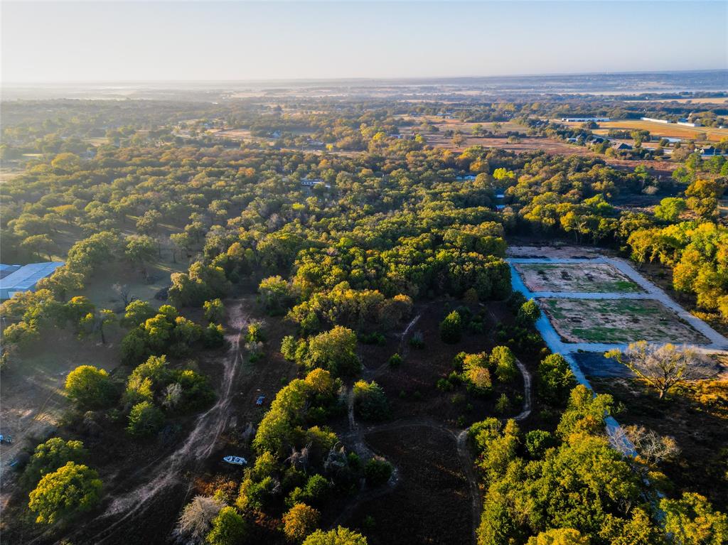 1291 Jay Bird Road Springtown, TX 76082 - Photo 3 of 7 a view of city and mountain
