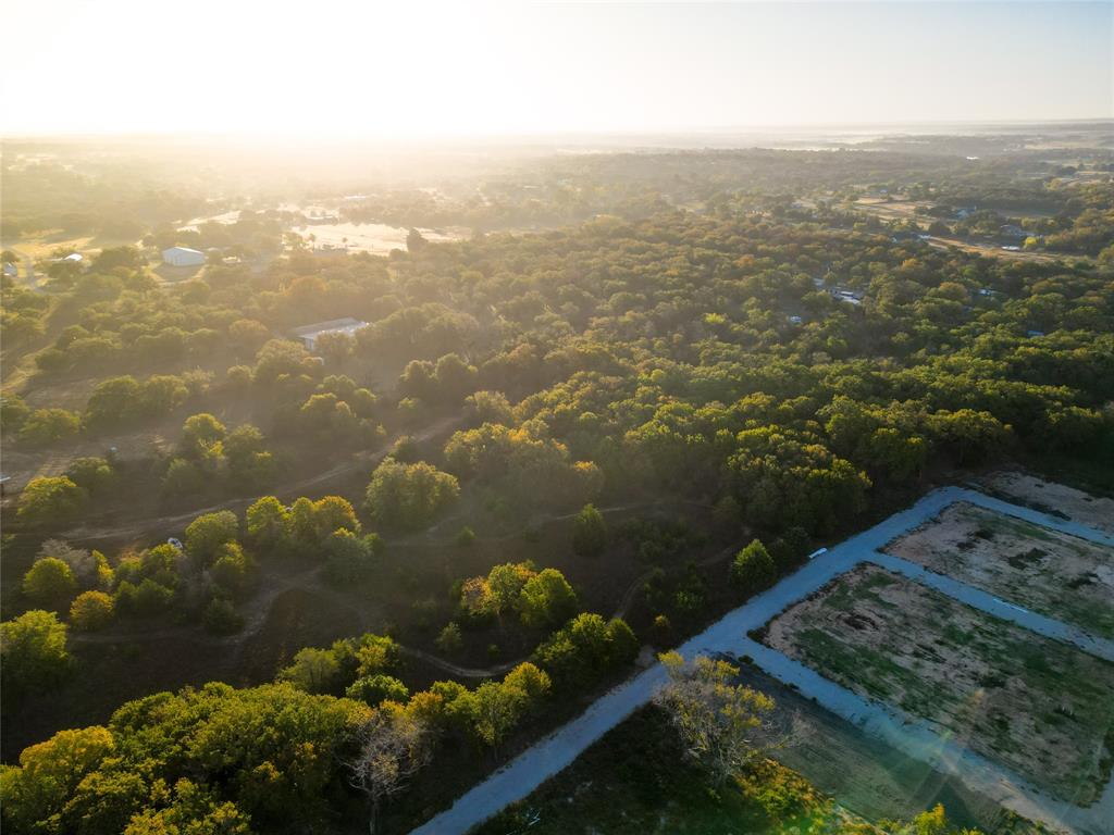 1291 Jay Bird Road Springtown, TX 76082 - Photo 4 of 7 a view of a lake with a mountain