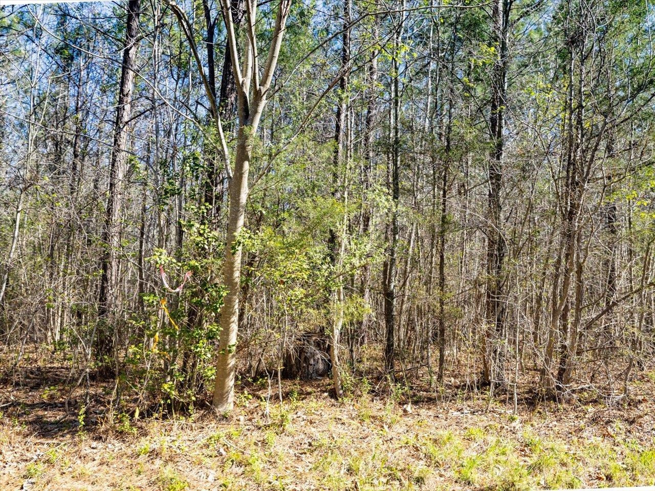 267 Marshall Road Pittsboro, NC 27312 - Photo 16 of 17 Photo 16
