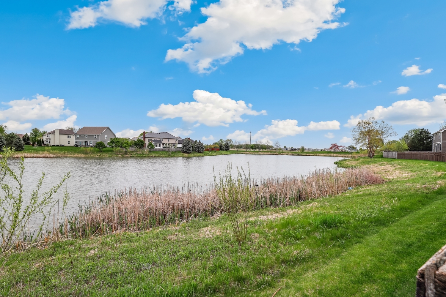 26824 Ashgate Crossing Plainfield, IL 60585 - Photo 39 of 50