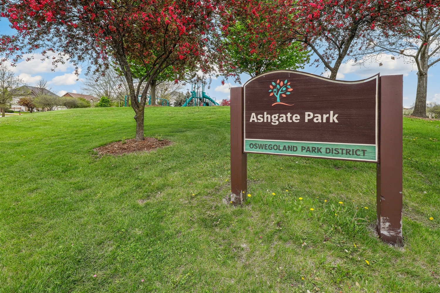 26824 Ashgate Crossing Plainfield, IL 60585 - Photo 46 of 50