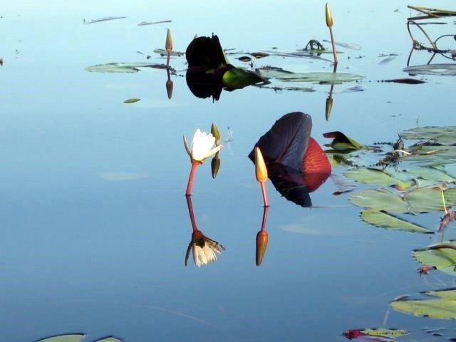 2275 Drexel Road Davis, IL 61019 - Photo 4 of 16 a view of storage and utility room