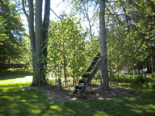 3051 Foster Road Ann Arbor, MI 48103 - Photo 41 of 58 Photo 41