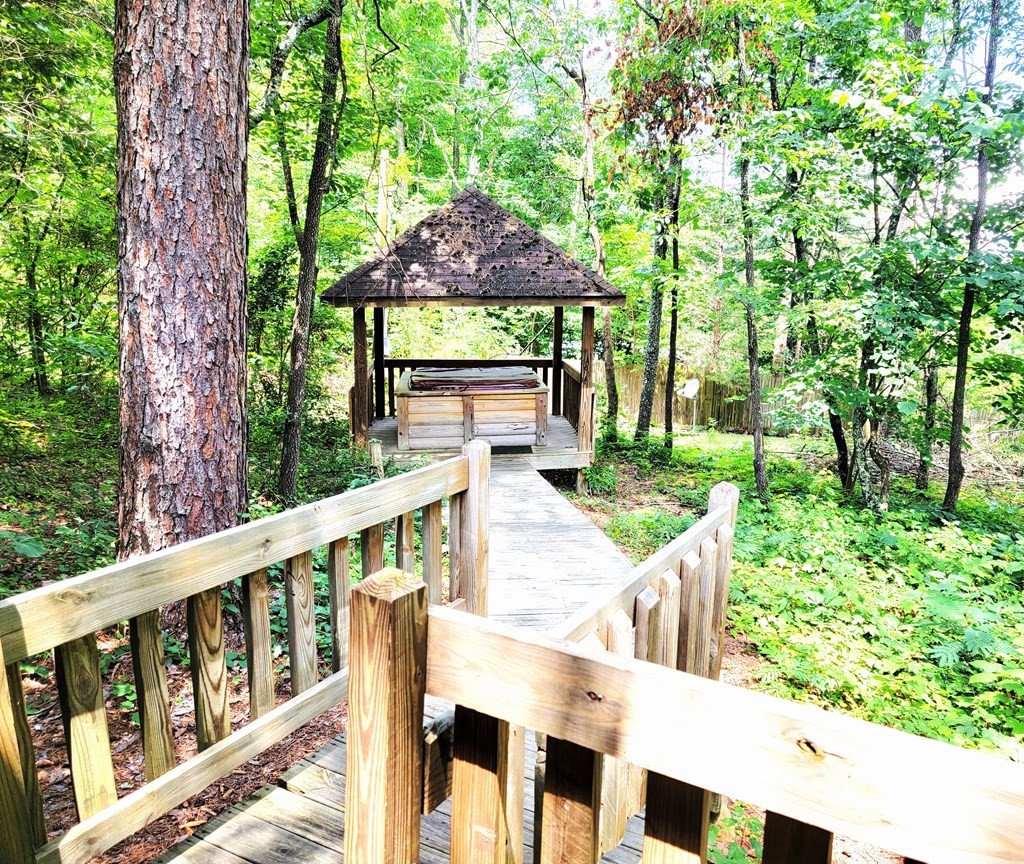 3786 Thomas Cross Road Sevierville, TN 37876 - Photo 25 of 70 Gallery Image 25