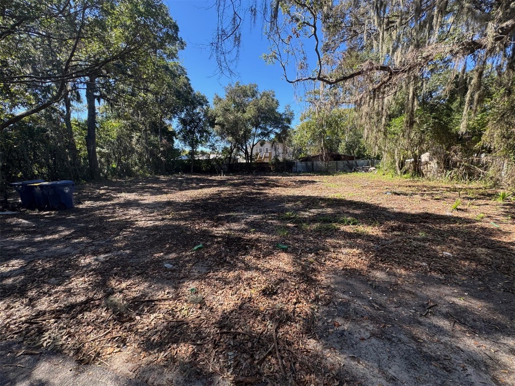 323 Division Street Fernandina Beach, FL 32034 - Photo 1 of 4 a view of dirt yard with a large tree