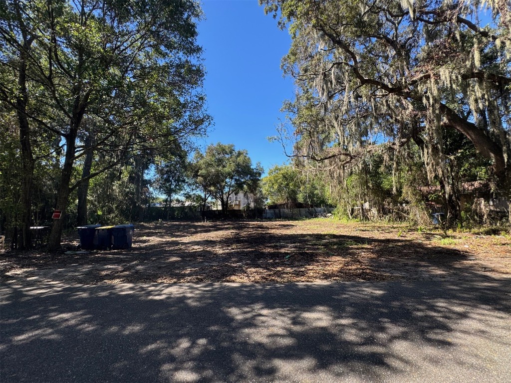 323 Division Street Fernandina Beach, FL 32034 - Photo 2 of 4 a view of a street with a trees