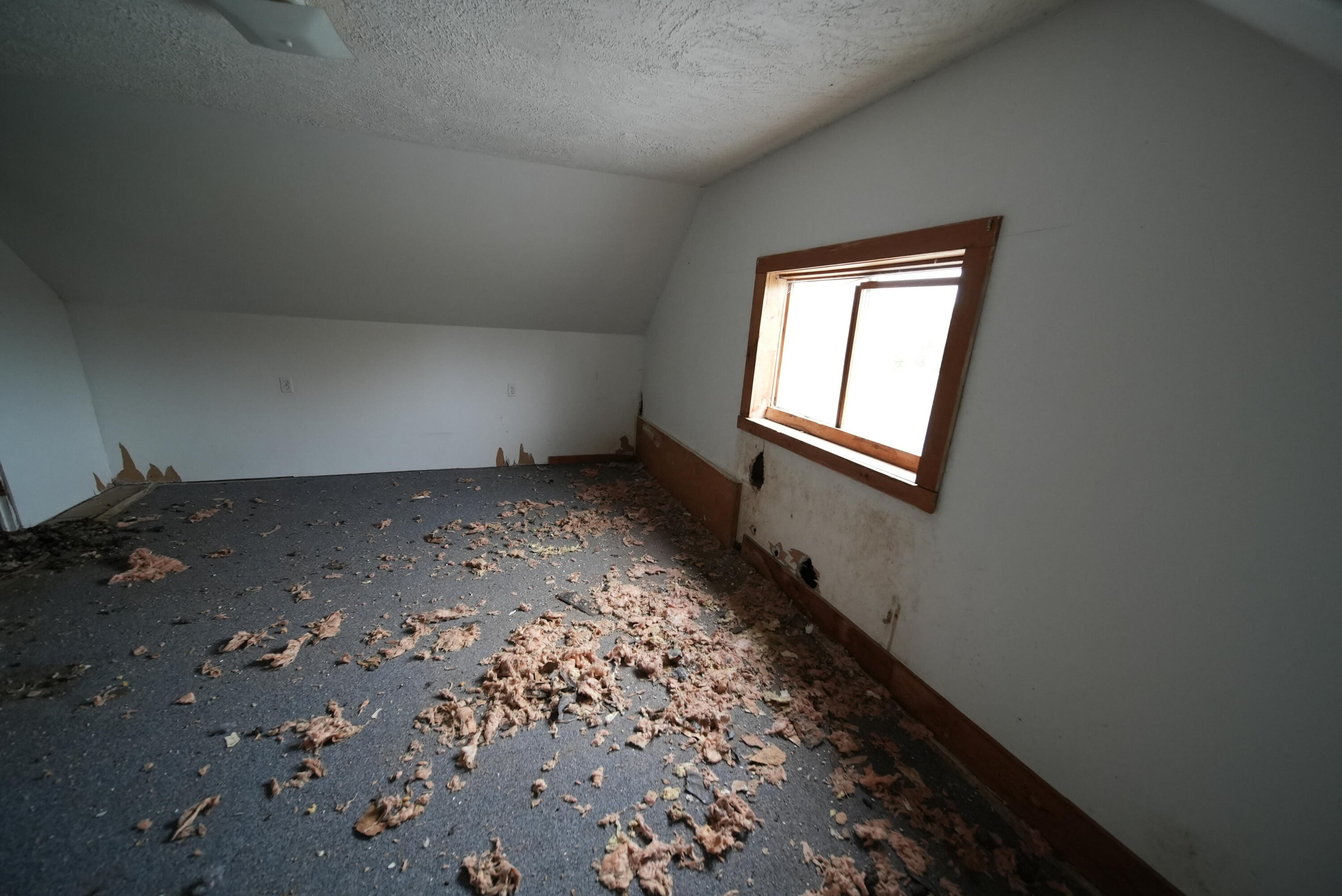 479 Harris Hill Road Weston, ME 04424 - Photo 55 of 58