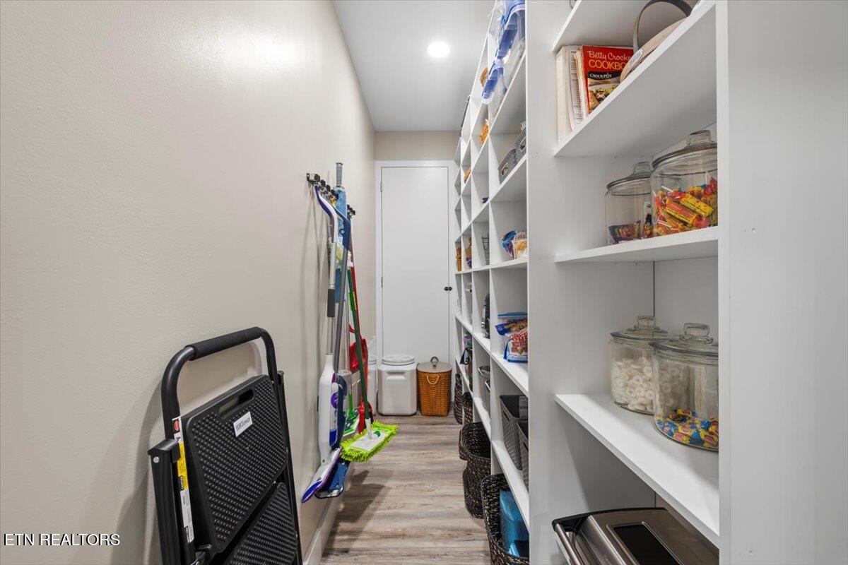 488 Masters Lane Bean Station, TN 37708 - Photo 20 of 50 Pantry