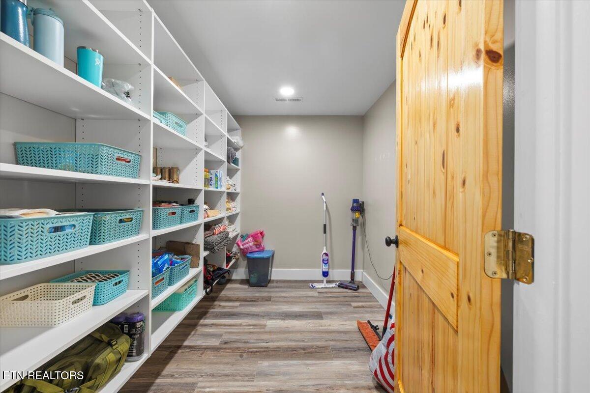 488 Masters Lane Bean Station, TN 37708 - Photo 42 of 50 Basement Pantry