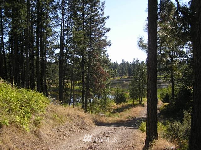 139 Turtle Lake Road Tonasket, WA 98855 - Photo 13 of 15 Gallery Image 13