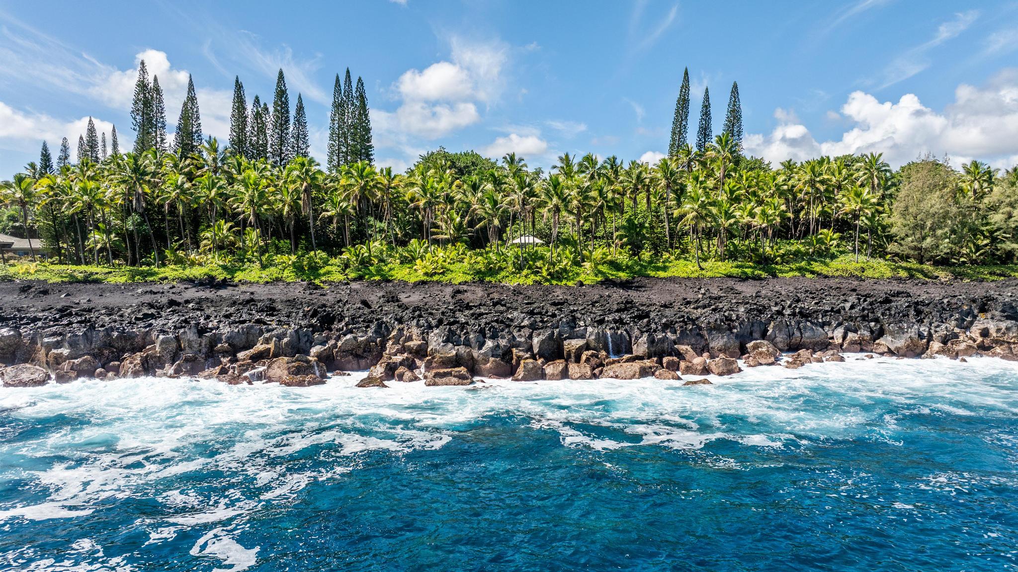 15-2649 Government Beach Road Pahoa, HI 96778 - Photo 2 of 30