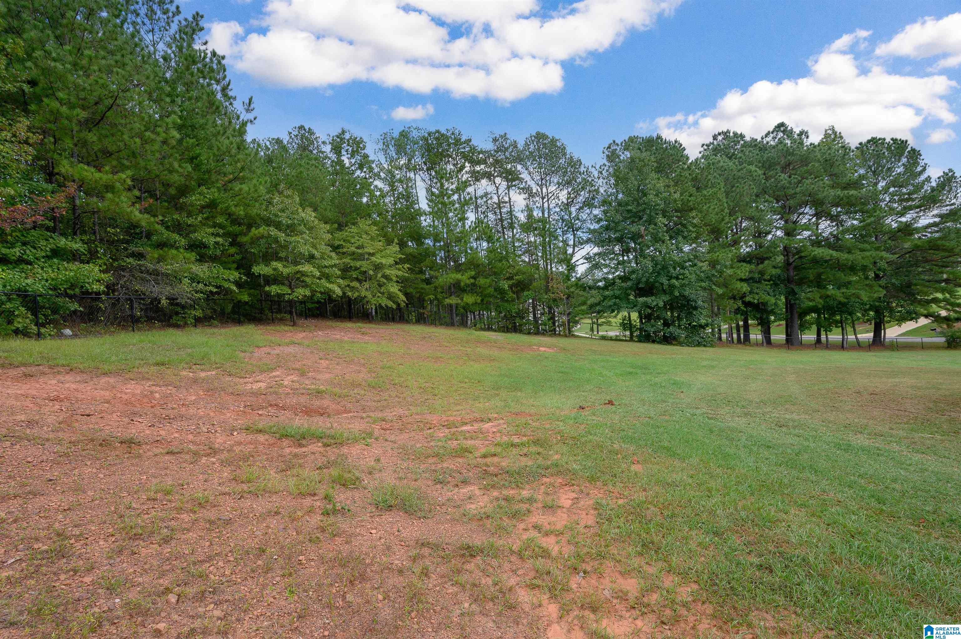 20534 Cathedral Lane McCalla, AL 35111 - Photo 34 of 51