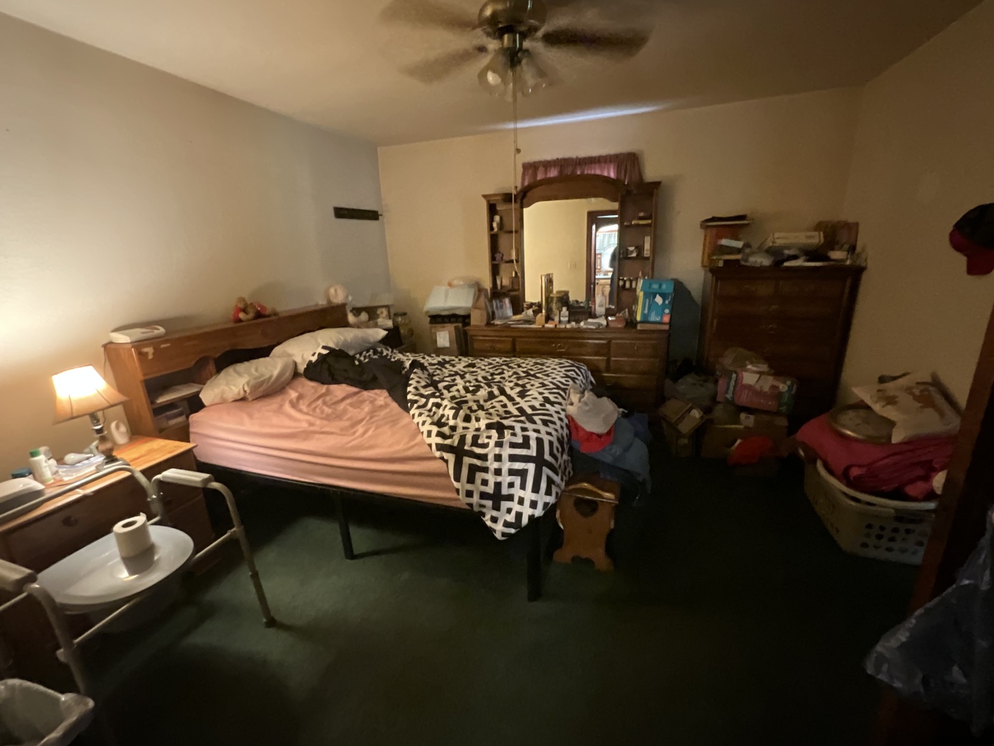 213 Maple Street Odin, IL 62870 - Photo 4 of 9