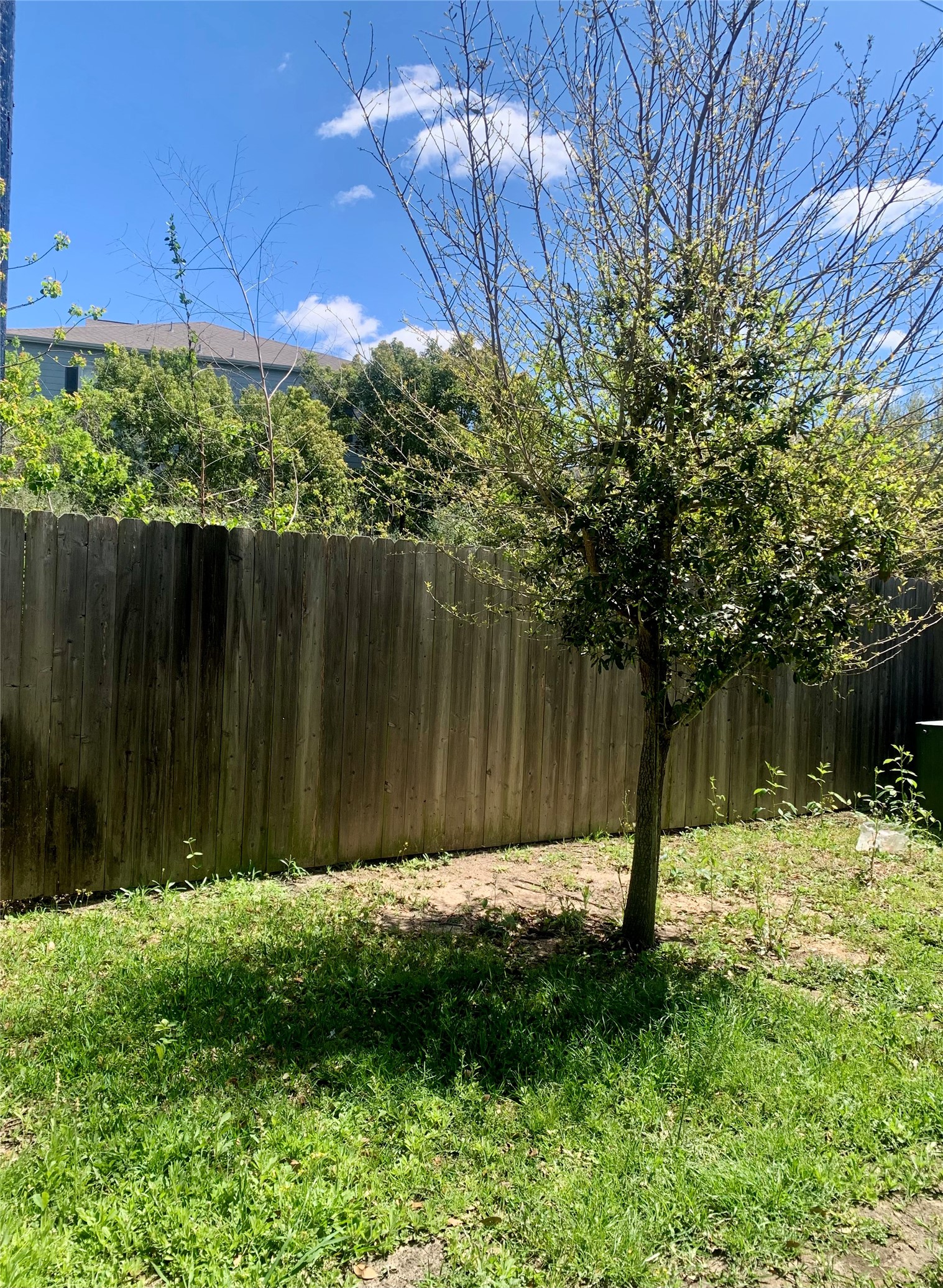 10209 Las Nubes Avenue Houston, TX 77075 - Photo 29 of 29 a backyard of a house with lots of green space
