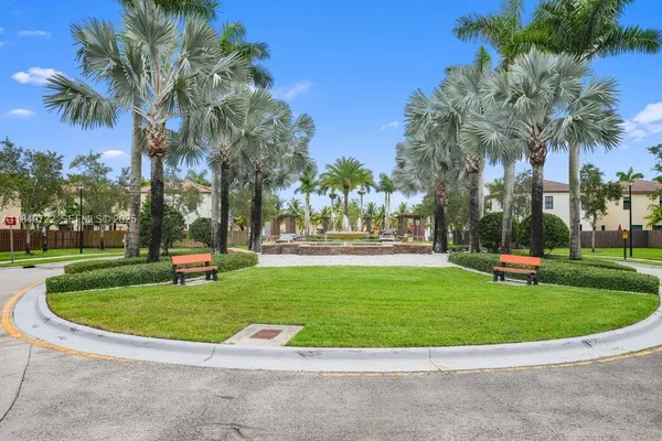 a view of a park with large trees