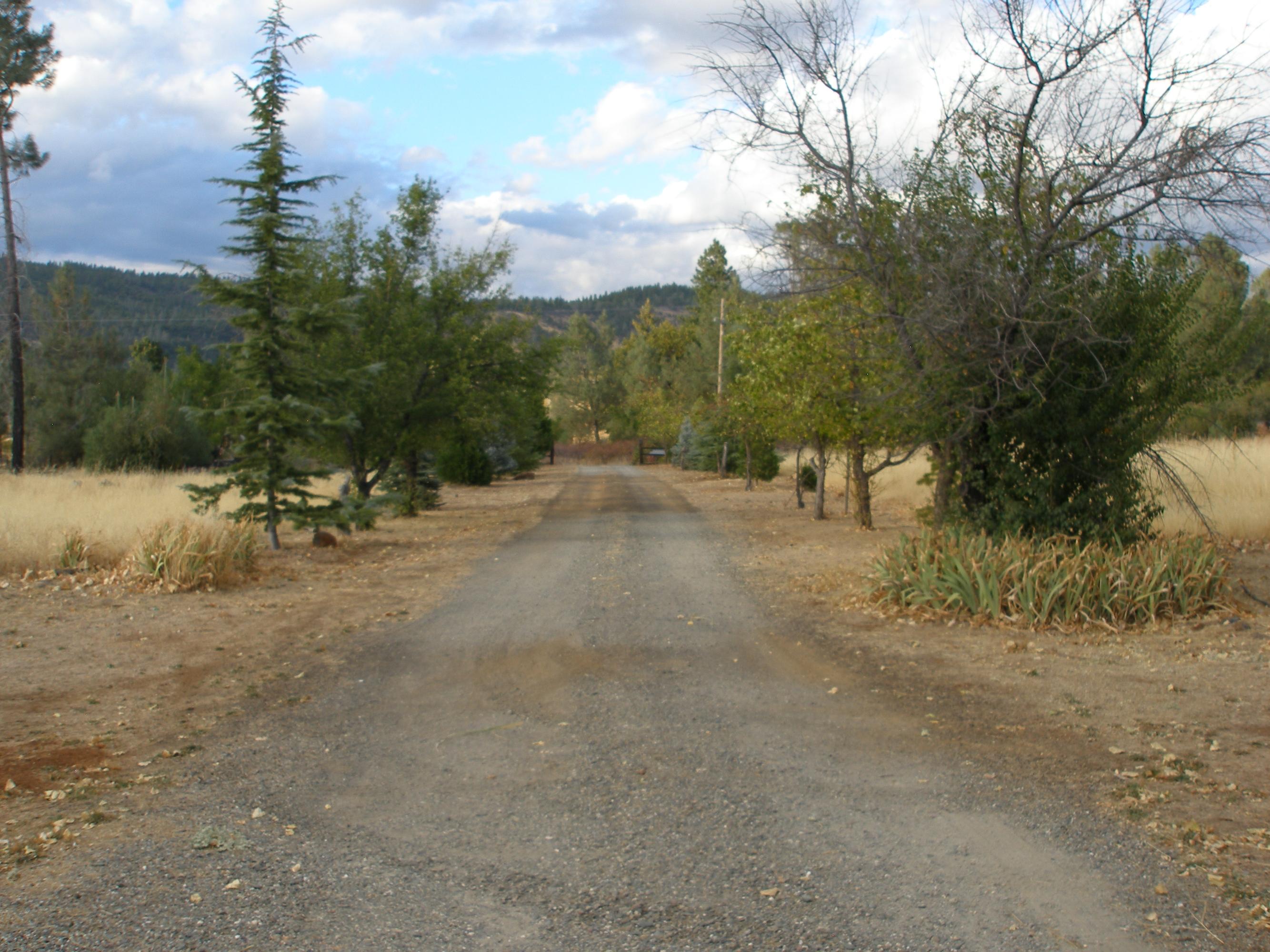 32135 Rock Creek Road Manton, CA 96059 - Photo 14 of 65 a view of a park with large trees