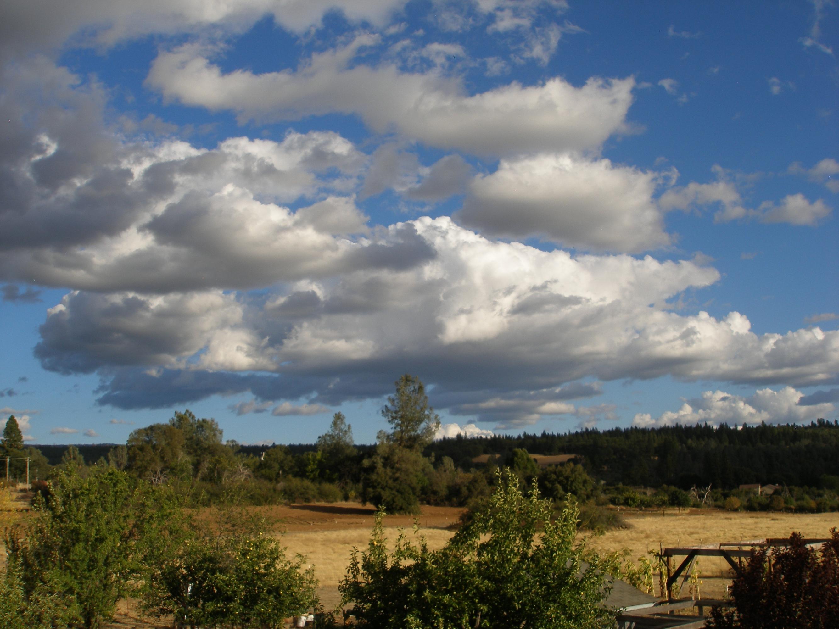 32135 Rock Creek Road Manton, CA 96059 - Photo 49 of 65 a view of a lake and sunset