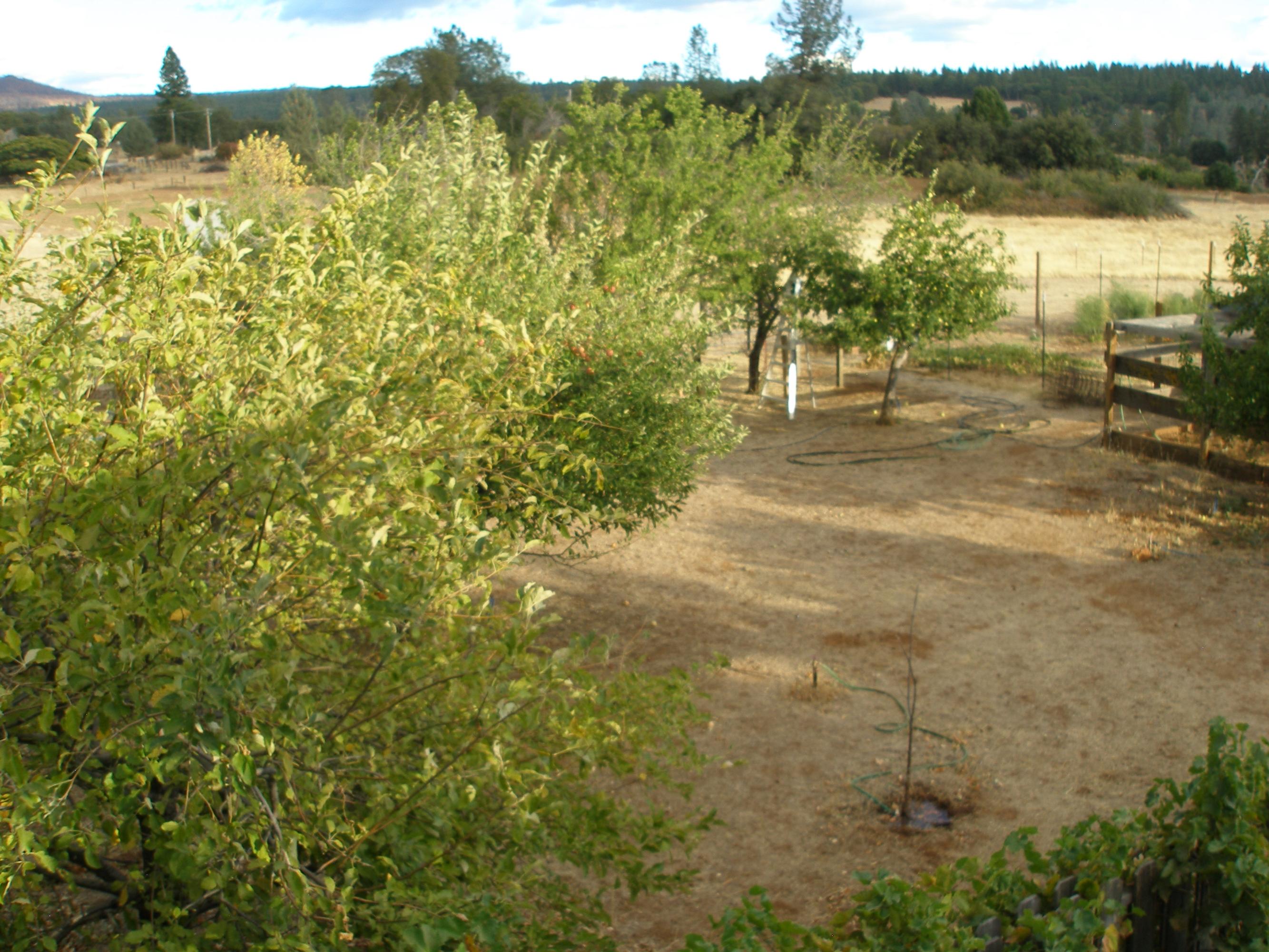 32135 Rock Creek Road Manton, CA 96059 - Photo 54 of 65 a view of a lake with houses in the background