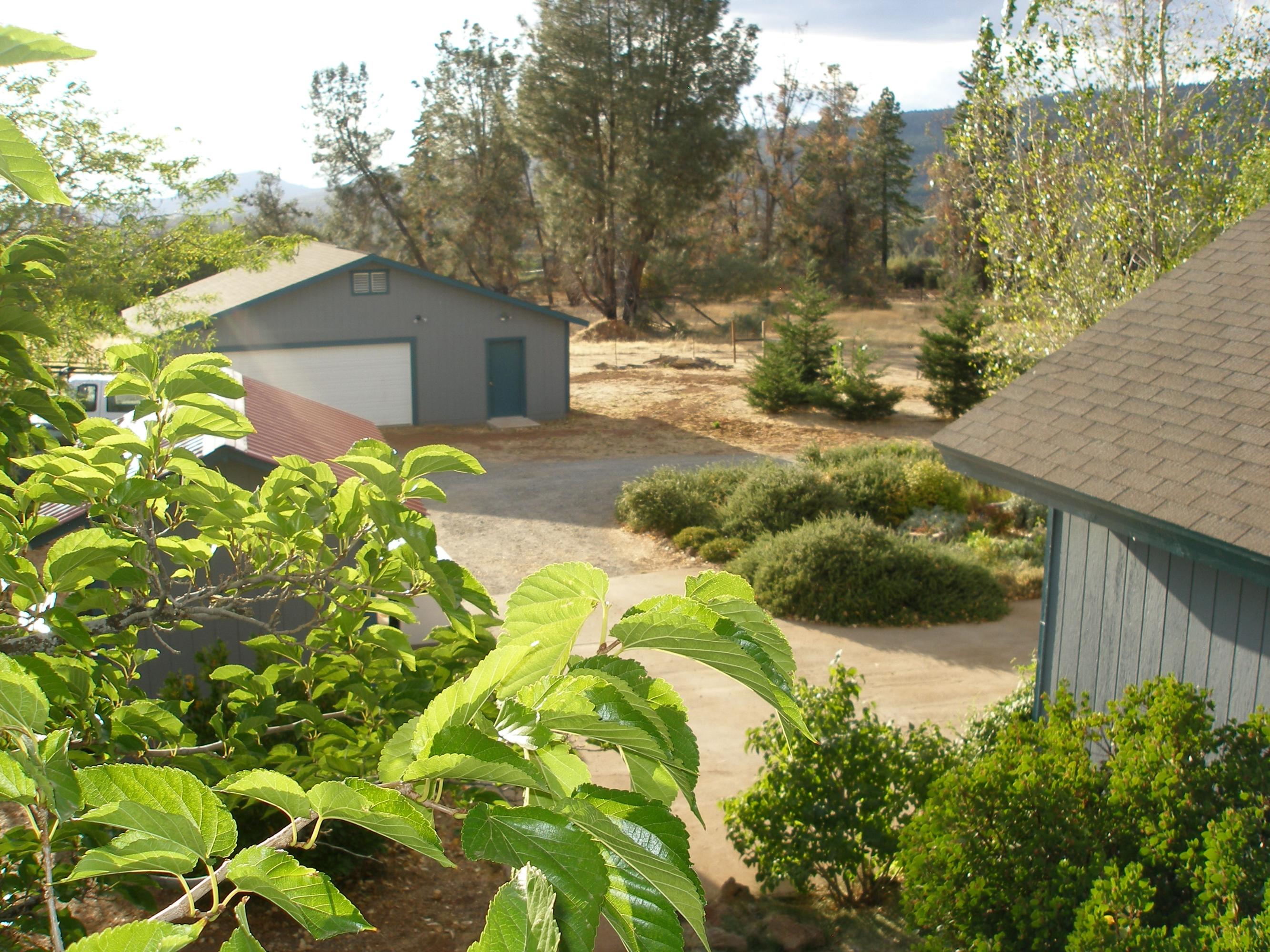 32135 Rock Creek Road Manton, CA 96059 - Photo 56 of 65 a backyard of a house with lots of green space