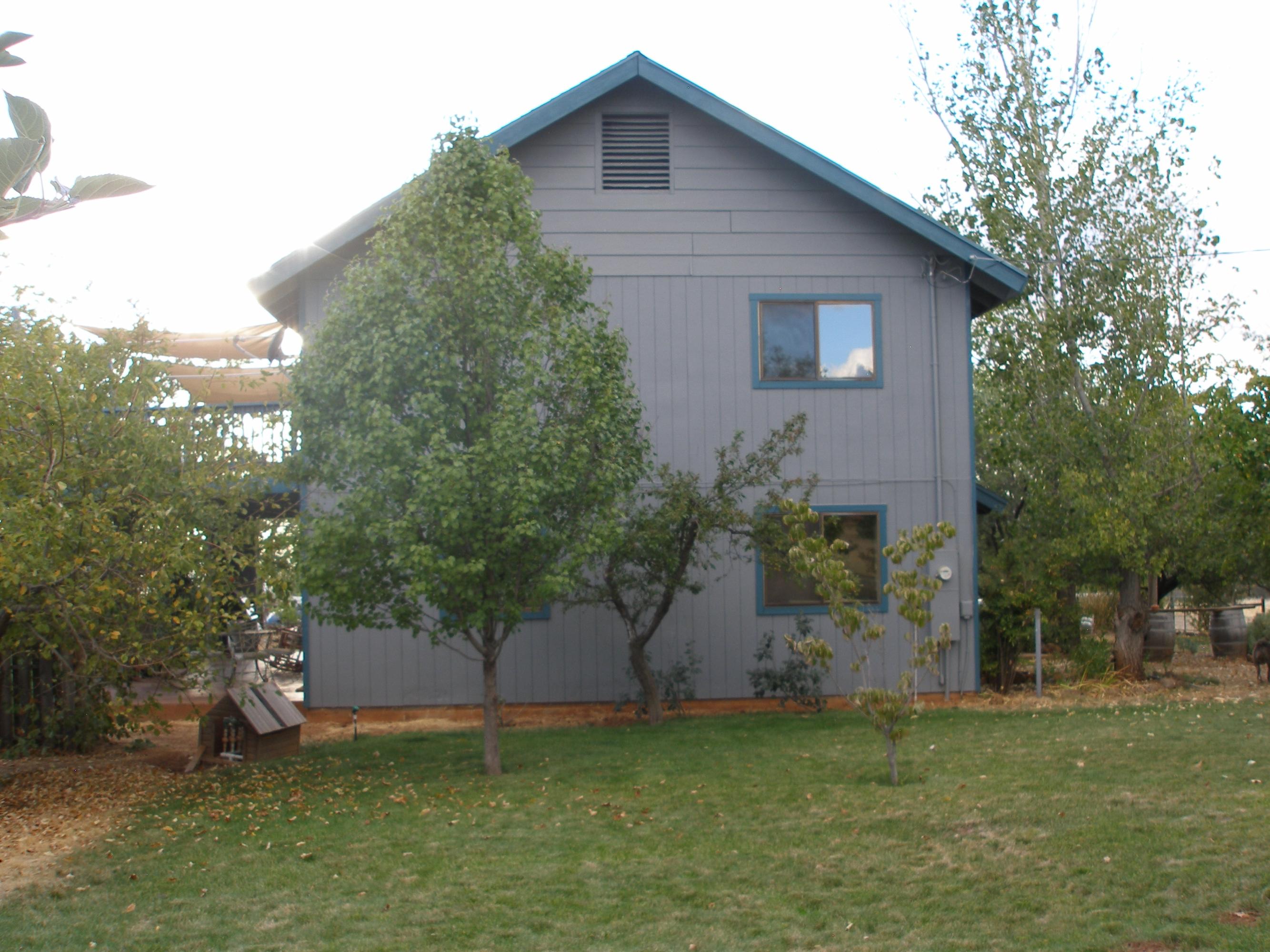 32135 Rock Creek Road Manton, CA 96059 - Photo 6 of 65 a view of a back yard of the house