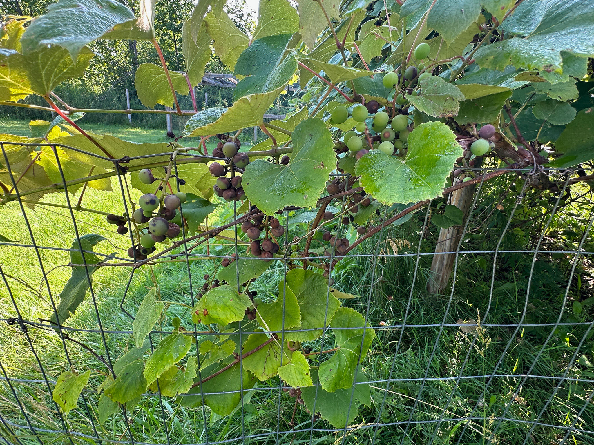 27 Old County Road North Enfield, ME 04493 - Photo 9 of 39 9