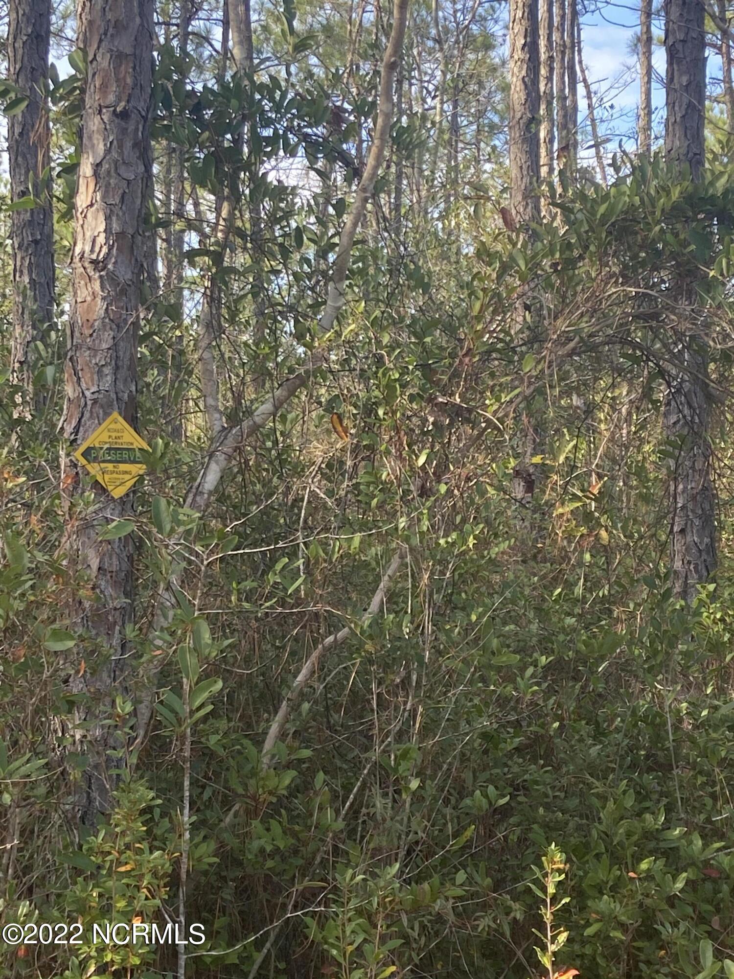 745 Gibralter Road Boiling Spring Lakes, NC 28461 - Photo 7 of 8 Wildlife sign is estimated 15 ft beyond property line