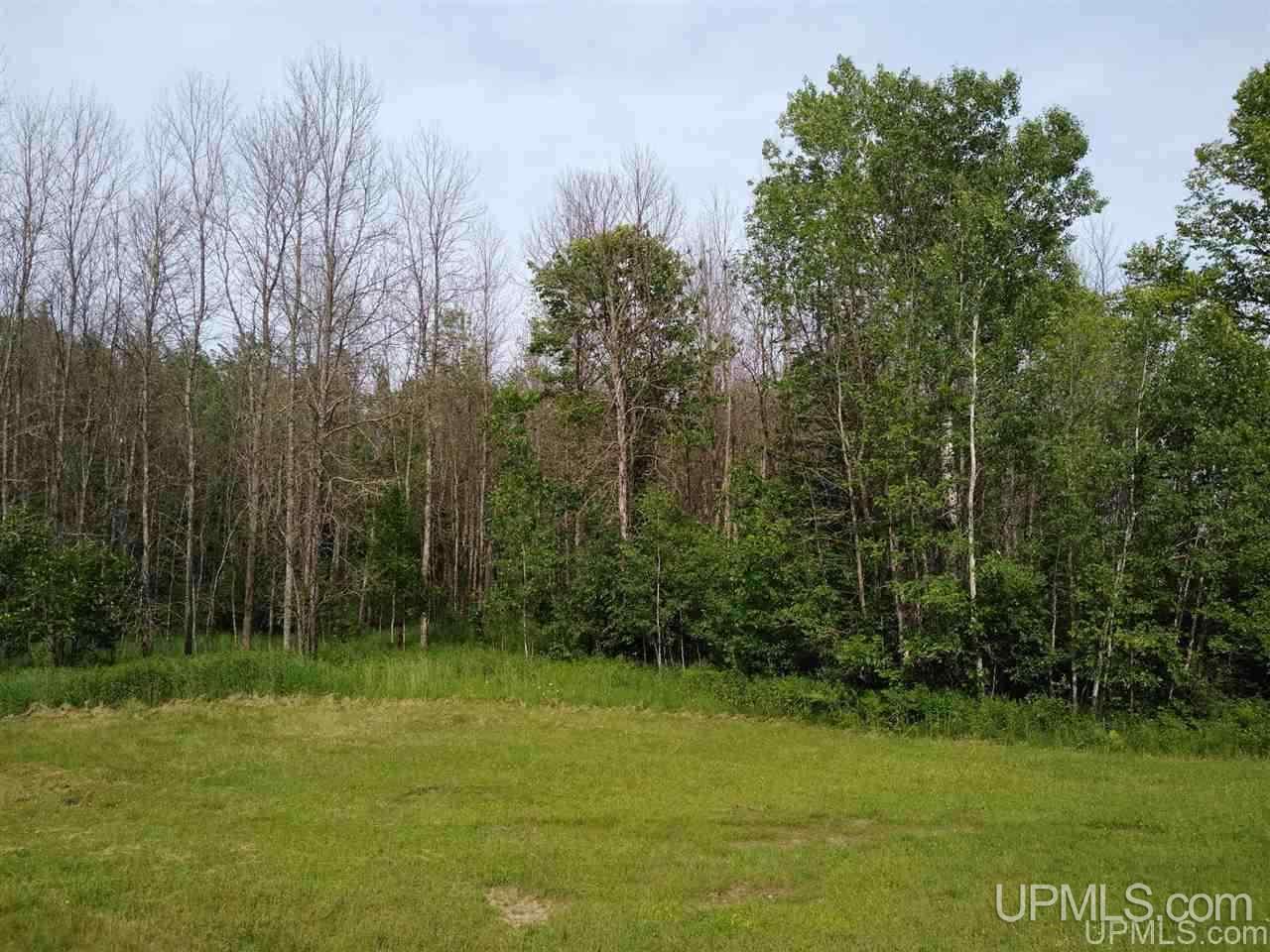 9816 Co Road Rapid River, MI 49878 - Photo 16 of 19 Gallery Image 16