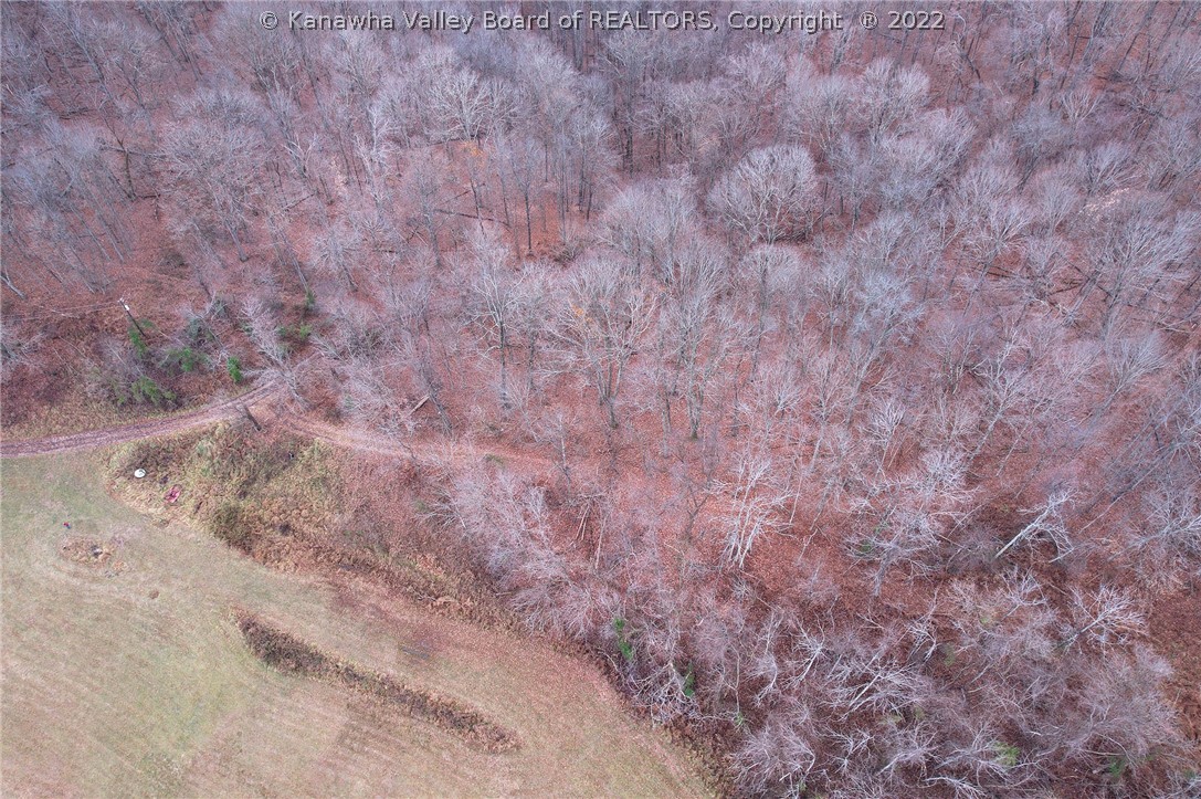 513 Cherry Fork Road Liberty, WV 25124 - Photo 29 of 38 Gallery Image 29