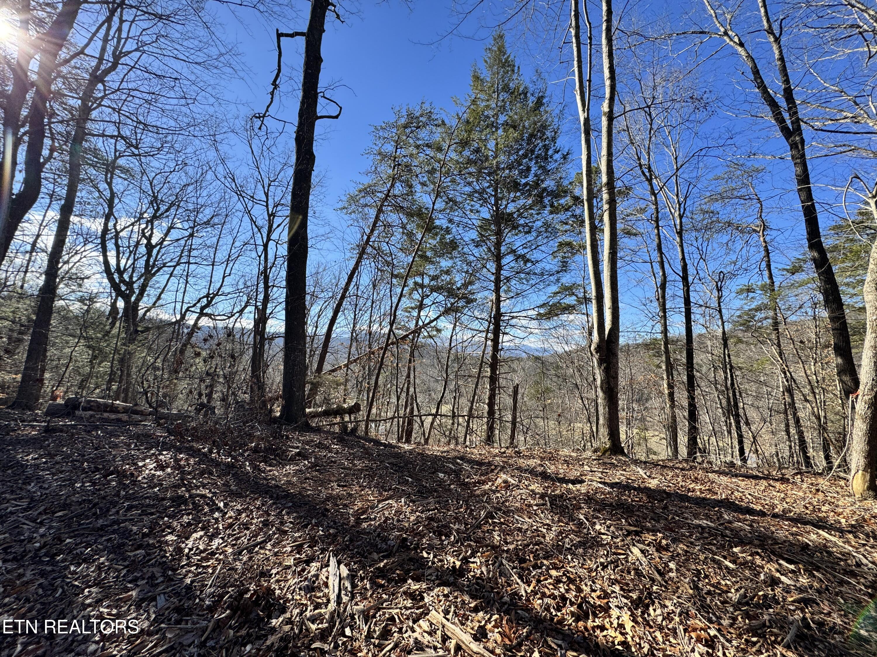 Deerfoot Road Cosby, TN 37722 - Photo 12 of 18 8.09 Acres - 12 lots