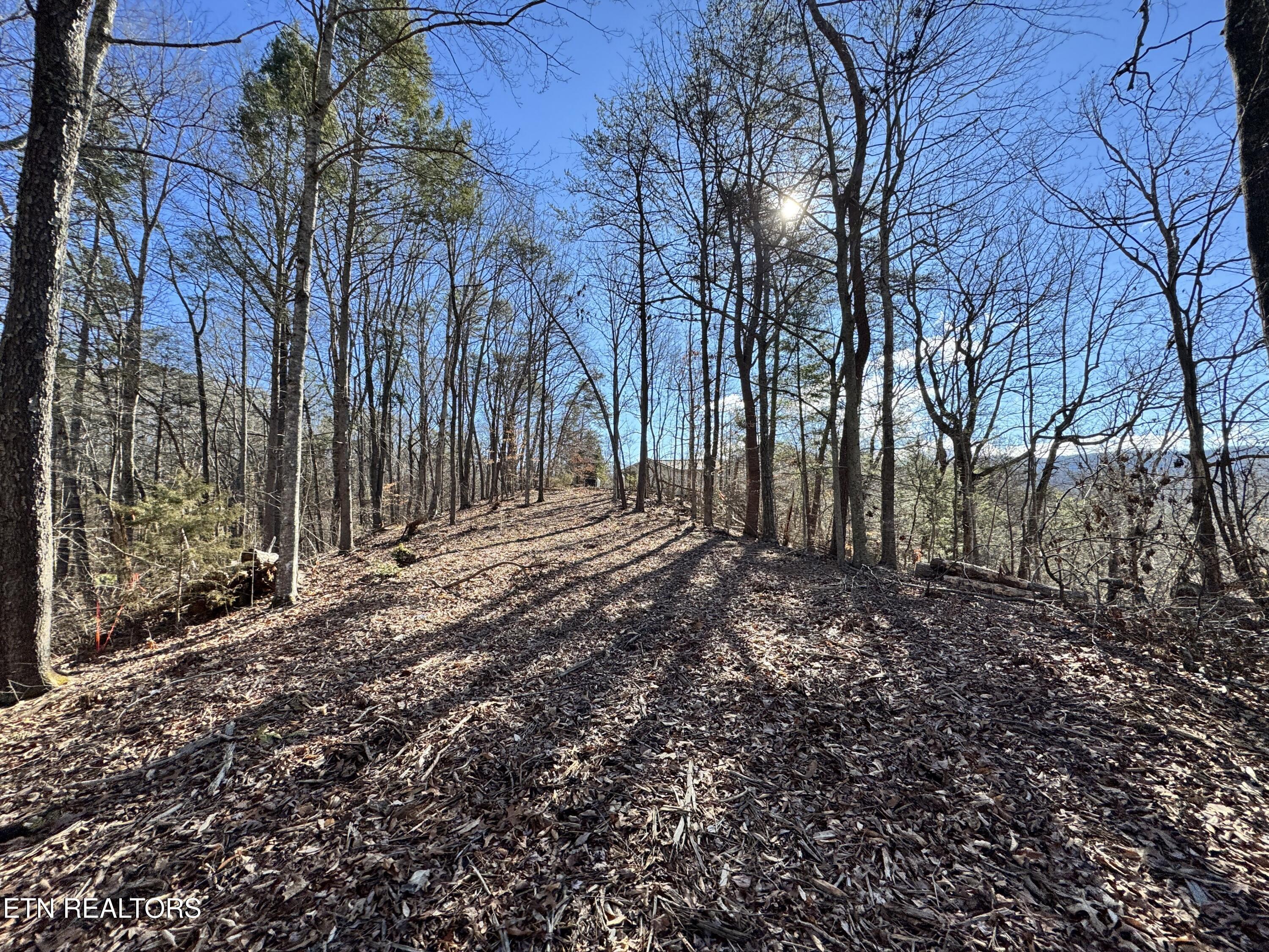 Deerfoot Road Cosby, TN 37722 - Photo 13 of 18 8.09 Acres - 12 lots