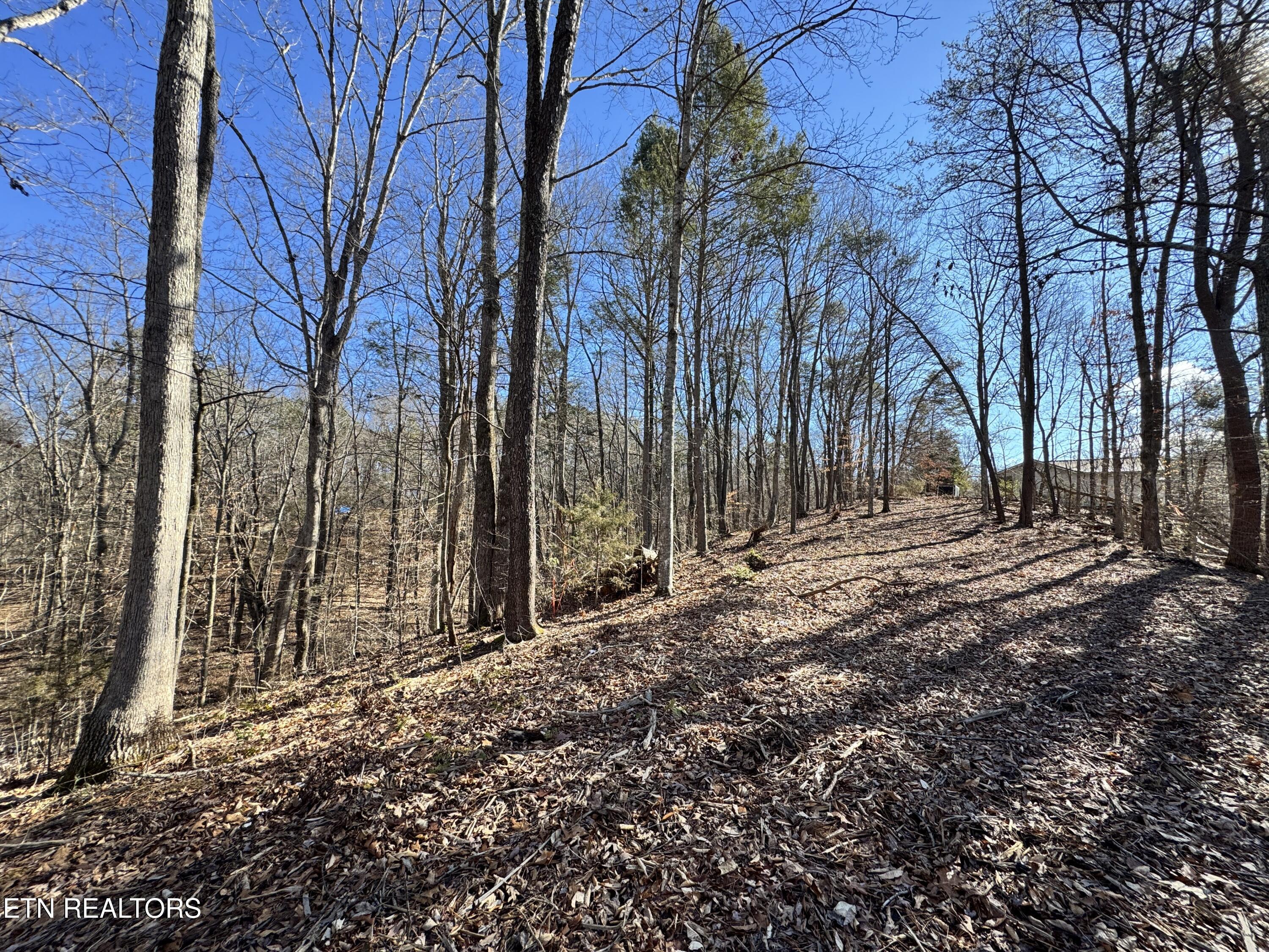 Deerfoot Road Cosby, TN 37722 - Photo 14 of 18 8.09 Acres - 12 lots