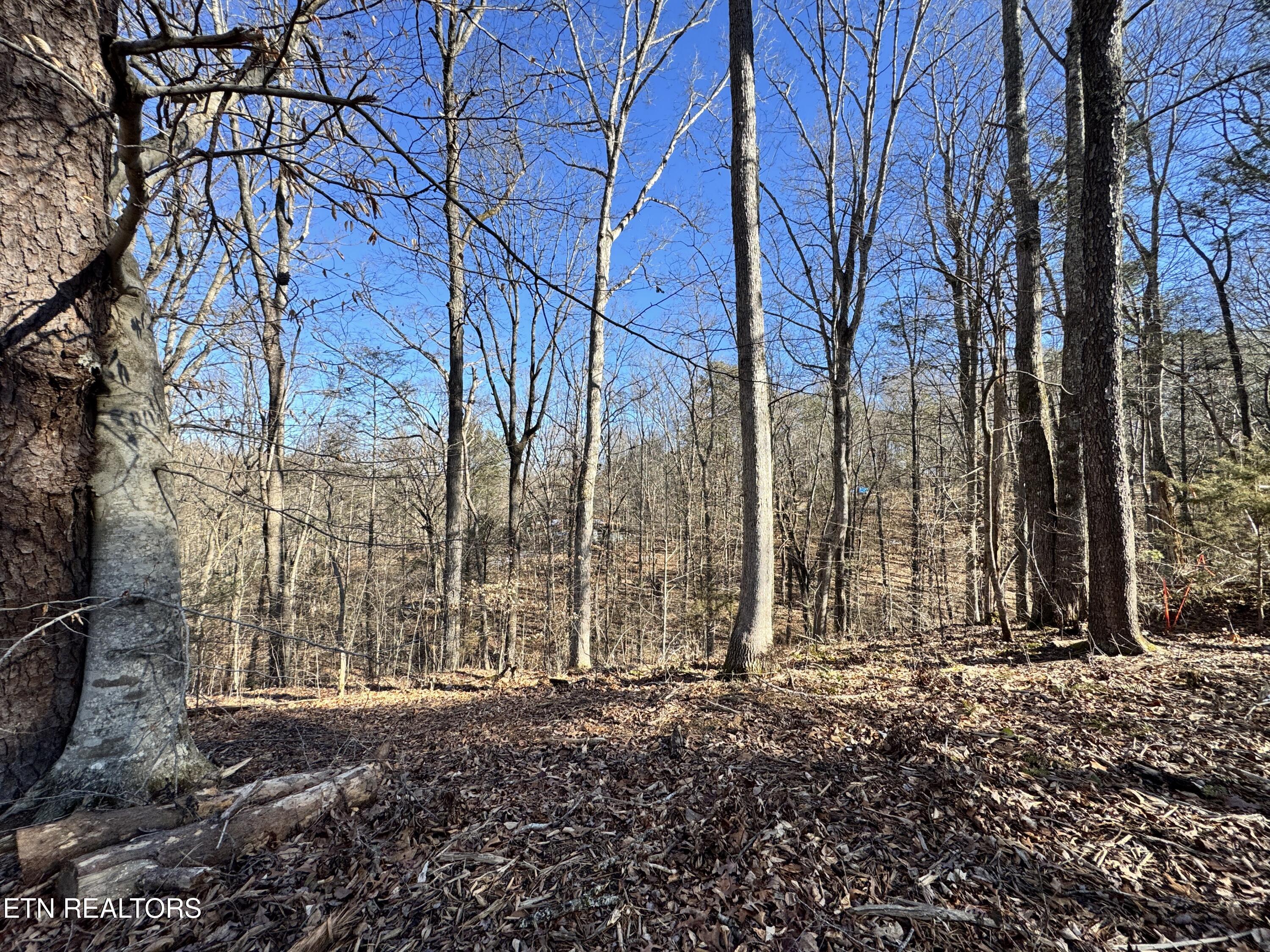 Deerfoot Road Cosby, TN 37722 - Photo 15 of 18 8.09 Acres - 12 lots